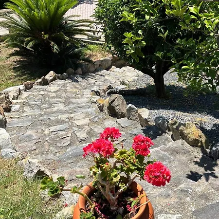 La Casina Del Sole 公寓 托伊拉诺
