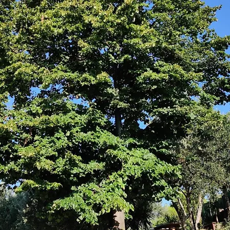 Apartmán La Casina Del Sole *